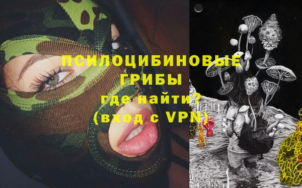 spice Верея