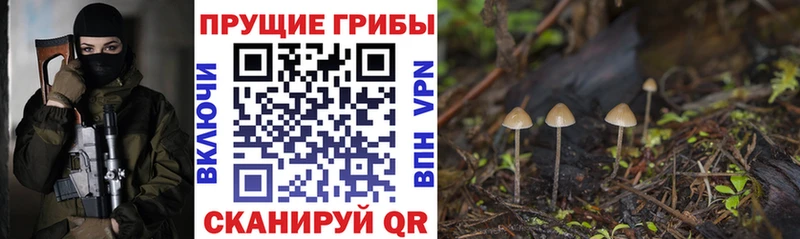 Псилоцибиновые грибы прущие грибы  Коломна 